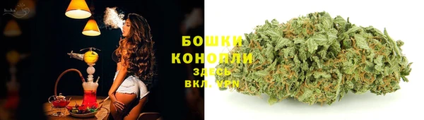 спиды Михайловск
