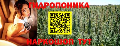2c-b Канаш