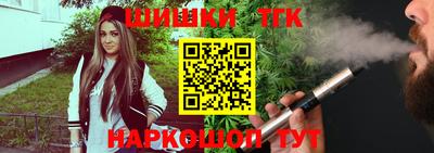 jwh Камышлов
