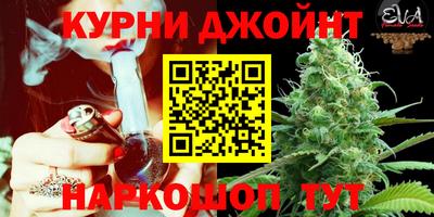 2c-b Канаш