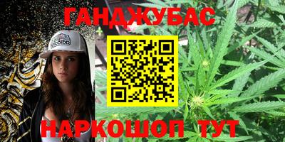 прущие крисы Будённовск