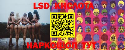 jwh Камышлов