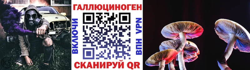 Галлюциногенные грибы Psilocybe Новокузнецк