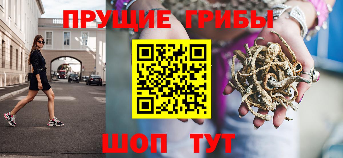 Галлюциногенные грибы Psilocybe Новокузнецк