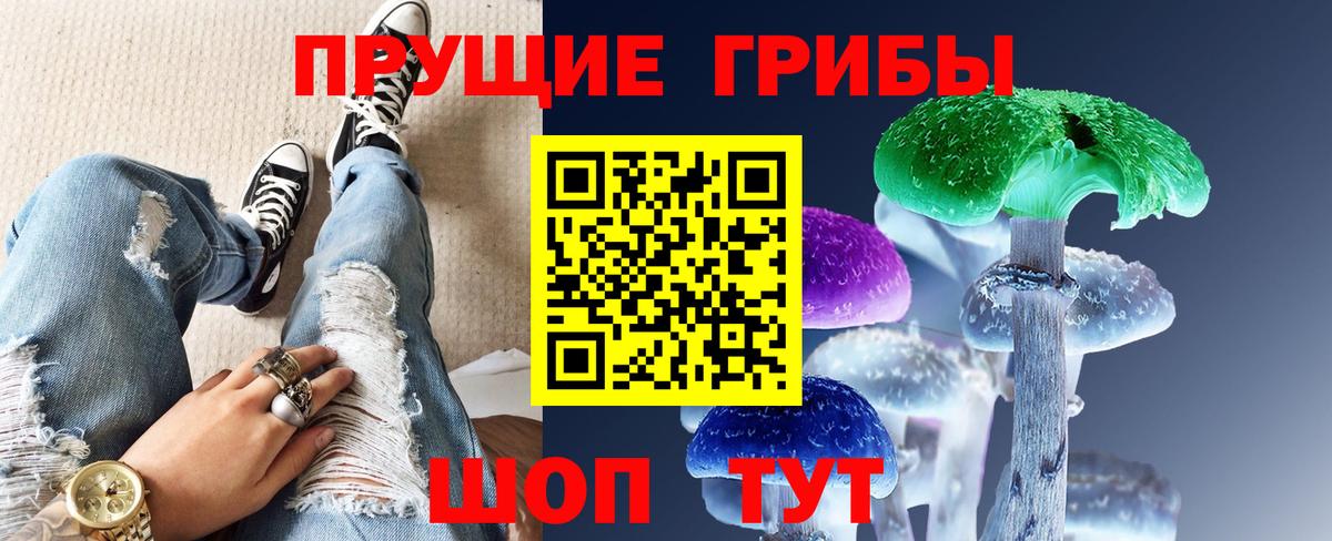 Галлюциногенные грибы ЛСД  Новокузнецк  купить   Псилоцибиновые грибы Psilocybe 
