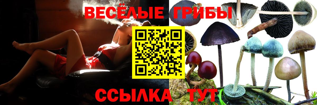 Галлюциногенные грибы ЛСД  Вход с VPN  Новокузнецк 